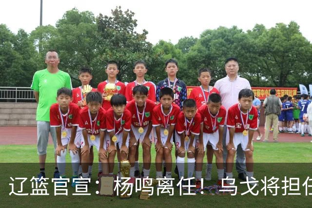 辽篮官宣：杨鸣离任！乌戈将担任辽宁男篮主帅